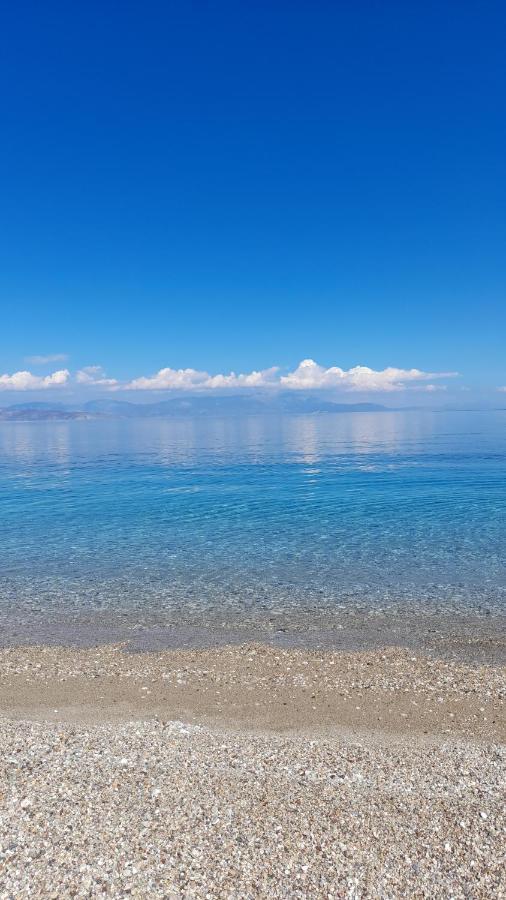 Akrata Rose Garden Apartments I Paralia Akratas Exteriér fotografie